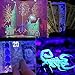 Cymas UV Flashlight, 12 LED Ultraviolet Blacklight Urine and Scorpion Detector for Pets, Torch to Find Dry Stains on Carpets//Rugs/Floor