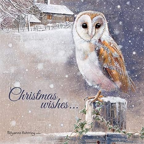 Christmas cards charity card charitychoice Charity Christmas Card Pack - Christmas Wishes: Amazon.co.uk: Office Products