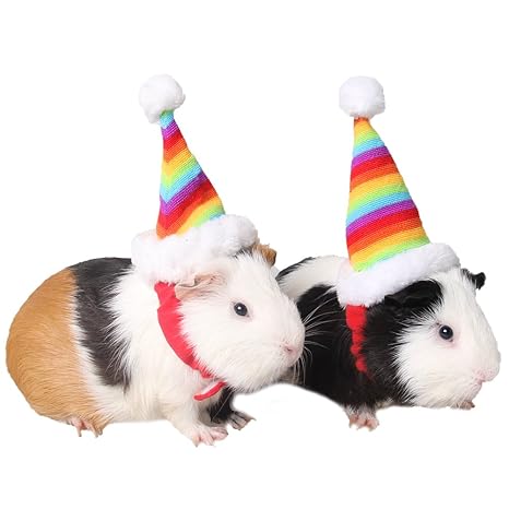 ZuckerTi Hut Mütze für Feiertag Halloween Weihnachts Weihnachten Geburtstag Kostüm für Katze Katzen Hunde Welpe Hamster Ratte