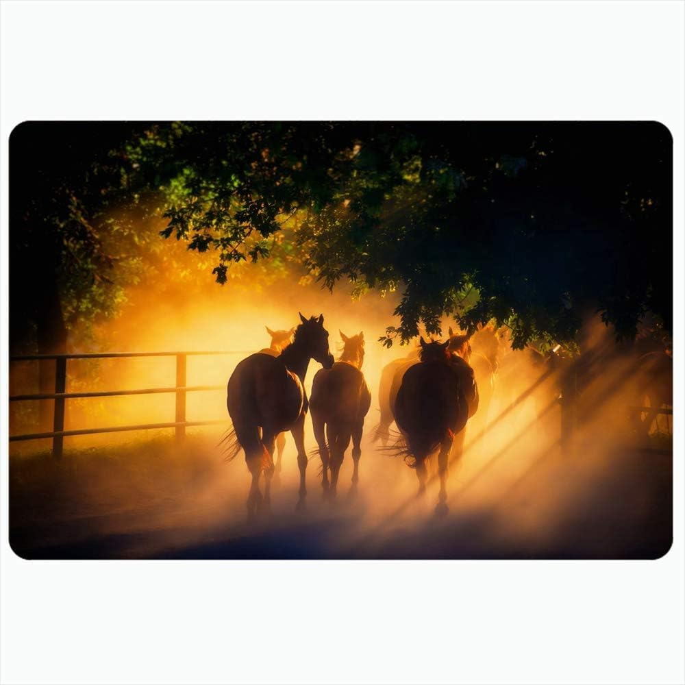Alfombra de baño para baño Alfombrillas antideslizantes Rebaño