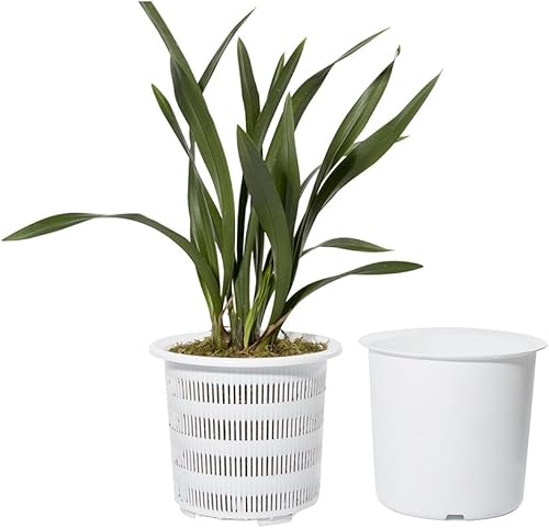 hstcstbl-table__image