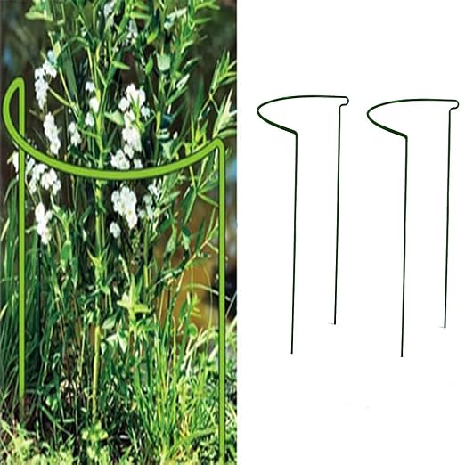 Kasfam Soporte perenne para Flores, Soporte de Rejilla de Vid ...