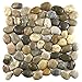Natural Stone Polished Cobblestone Pebble Tile Hand-Sorted River Rock Tiles Measuring 12 by 12 inches with a Backing Sheet for Shower Floors, backsplashes, patios, and More