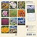 Wildflowers 2017 Calendar