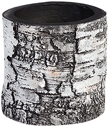 SURREAL Planters VB-4 Vertical Planter, 6-Inch, Birch