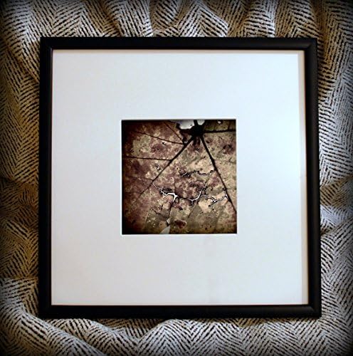 Discounted Original Fine Art Framed Photograph - Aunt Agatha's Umbrella