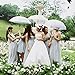 Clear Umbrella, Mirviory Transparent Bubble Dome Umbrella, Lightweight Easy Carrying Suitable for Women and Girls, Wedding Decoration Umbrella