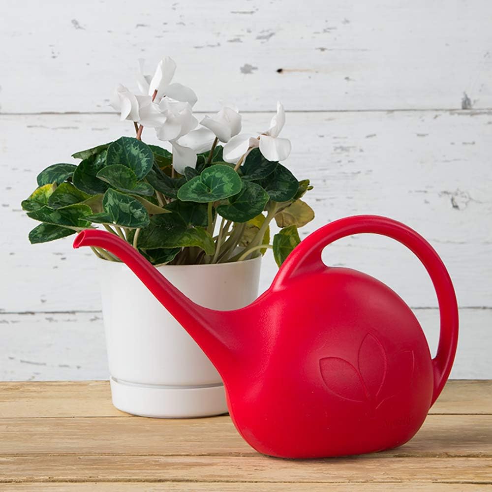 Novelty 30605 Indoor Watering Can, 1/2 Gallon, Red : Garden & Outdoor