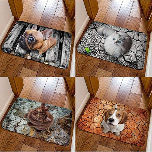 mekolen Estera Linda del Estampado de Animales 3D Forma Cuadrada Antideslizante Estera del Cuarto de baño Alfombras (23,6 x 15,7 Pulgadas)