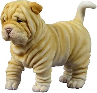 5 interesting facts about cats