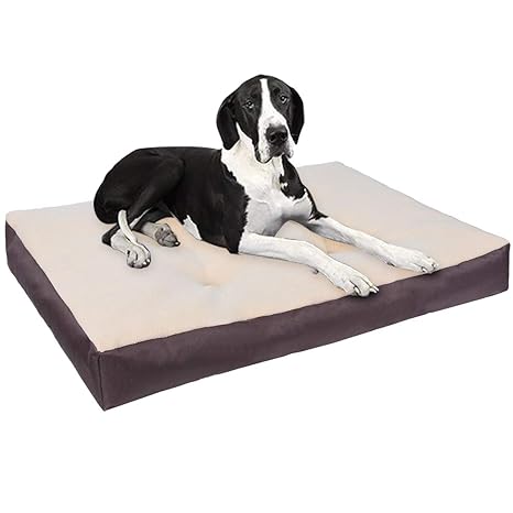 cama xl para perros
