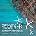 Starfish Sea Stars - All-Natural White Decorative Starfish Fingers - 20-Count (2-3 Inch) - White Decorative Sea Stars - Decorative Starfish for The Home, Gifts, Events, and Crafting