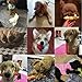 Yotache Small Dog Toys Set 6 Pack Ball Rope and Chew Toys for Small Dog Puppy
