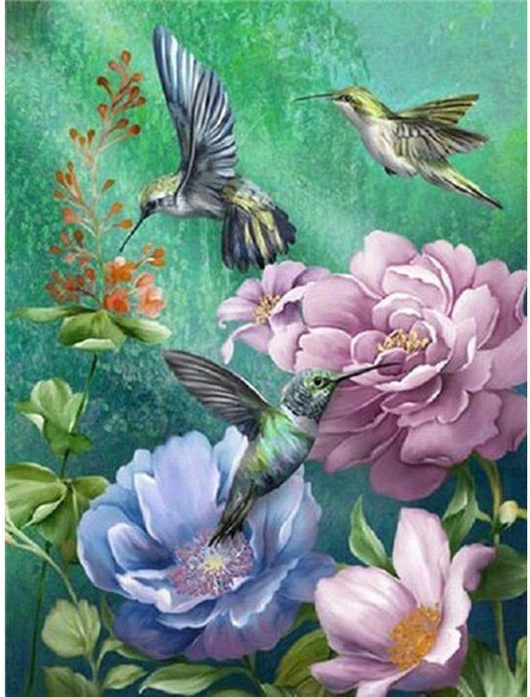 DIY 5D Diamond Painting by Number Kits for Adult,Full Round Drill Embroidery Cross Stitch Arts Craft Wall Decor Hummingbird and Peony 11.8x15.7in 1 Pack by Jestang