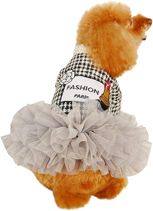 cosas para perros amazon