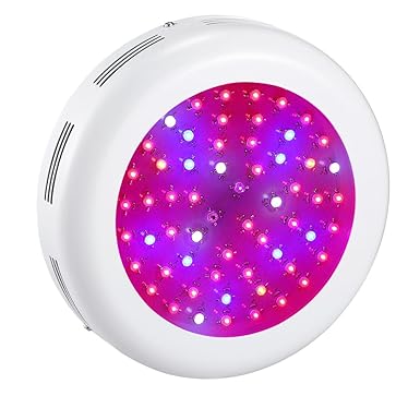 BLOOMWIN Pflanzenlampe led Wachstum Pflanzenlicht 180W 9Band