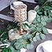 6.6ft Artificial Silver Dollar Eucalyptus and 5.9ft Faux Willow Vines Twigs Leaves Garland String for Wedding Arch Swag Backdrop Greenery Garland Indoor Outdoor
