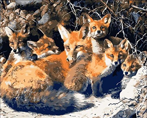 DIY Ölgemälde Malen nach Zahlen Erwachsene Kinder, Fuchs