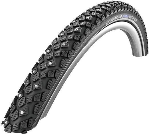 schwalbe winter