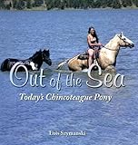 Out of the Sea, Today's Chincoteague Pony by 