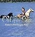 Out of the Sea, Today's Chincoteague Pony by 