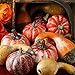 Factory Direct Craft Package of 12 Assorted Artificial Frosted Pumpkins and Gourds for Autumn, Fall and Thanksgiving Displays