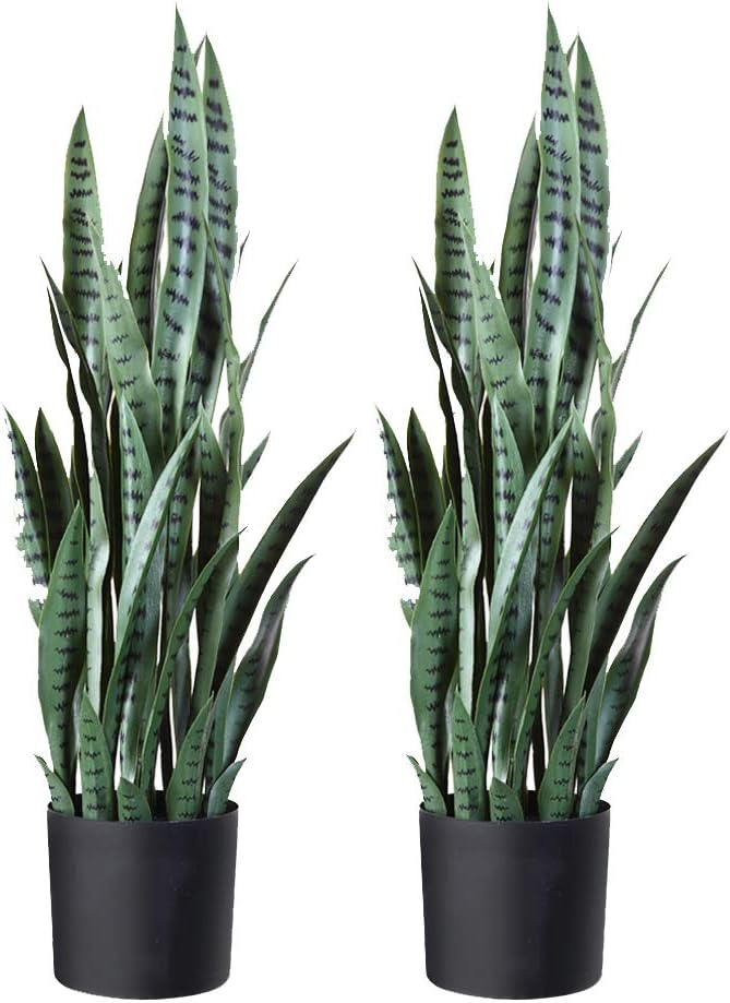 Which Is The Best Perfect Home Decor