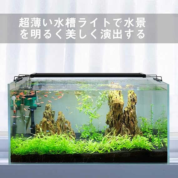Amazon Varmhus 水槽用 Ledライト ブラケット アクアリウムライト 30 45cm 青白 Rgb 水槽照明 熱帯魚 観賞魚飼育 水草育成 省エネ 長寿命 28cm 4色 Varmhus ライト 照明 通販