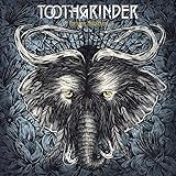 Nocturnal Masquerade