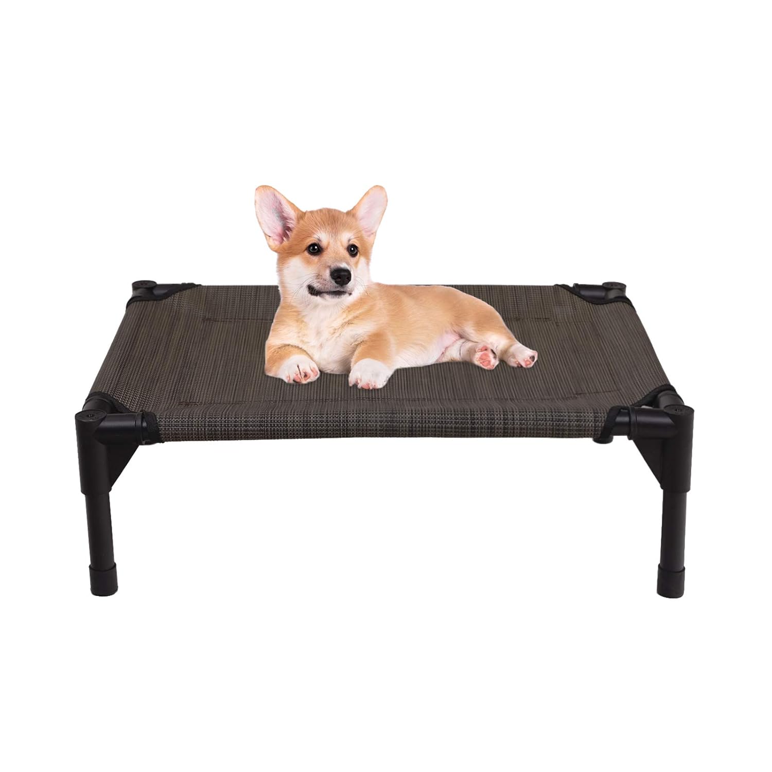 The 9 Best Cooling Bed For Small Dog