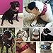Berry Pet Sharp Spiked Studded Dog Collar - Stylish Leather Dog Collars - 2 Inch in Width Fit for Medium & Large Dogs - Such as Pitbull Mastiff - Black Rivets & Black Leather,19-22