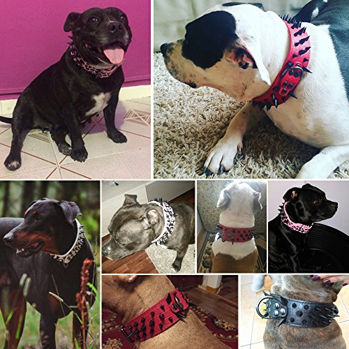 Cool Sharp Spiked Studded Leather Dog Collar – 2" Wide For Large Dogs (Pitbull, Boxer, Rottweiler, Mastiff)