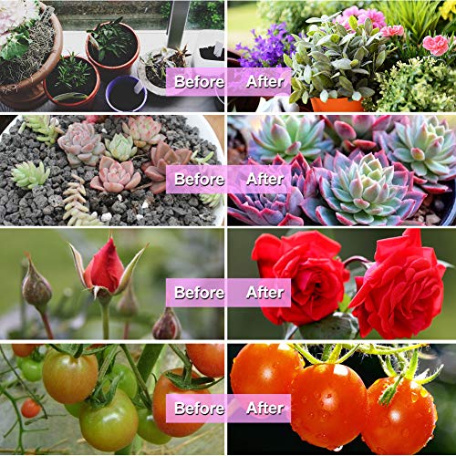 LED Grow Light Bulb, Full Spectrum Growing Lights for Indoor Plants, 20W E27 LED Plant Light Bulbs for Hydroponic Succulent Herbs Vegetable Flower Seed, Seedling, Indoor Gardening Greenhouse Grow Lamp