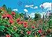 JAPAN IMPORT :: Ueno farm Hokkaido garden 2019 calendar CL-0478 by 