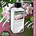 Hoya Plant Food (Wax Plant) Fertilizer, Hightech NPK, Root+ Soil+ Foliar+ Fertiliser - Liquid