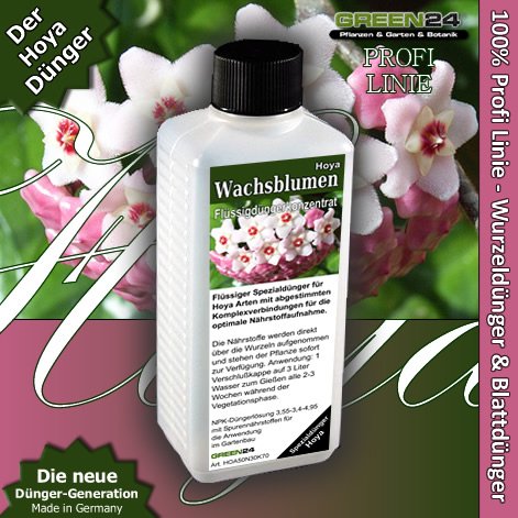 Hoya Plant Food (Wax Plant) Fertilizer, Hightech NPK, Root+ Soil+ Foliar+ Fertiliser - Liquid Hoya Plant Food (Wax Plant) Fertilizer, Hightech NPK, Root+ Soil+ Foliar+ Fertiliser - Liquid