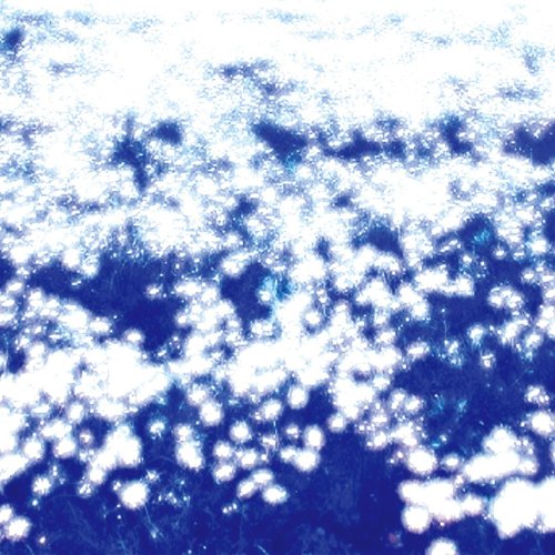 Cover of Brilliant Lies