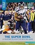 The Super Bowl: 12 Reasons to Love the NFL's Big Game (NFL at a Glance)