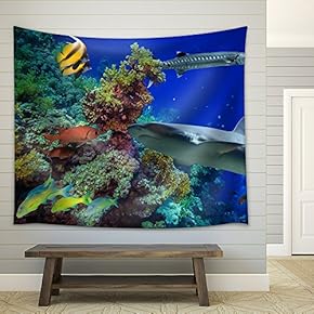 Tropical Anthias Fish with net fire Corals and Shark on Red Sea Reef Underwater - Fabric Wall Tapestry Home Decor - 51x60 inches