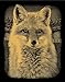 Reeves Majestic Fox Scraperfoil Artwork, Gold