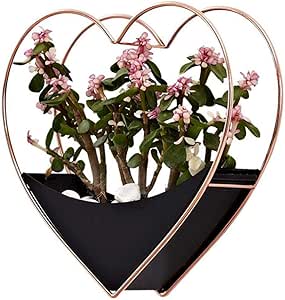 Generir Decoración De La Pared, Macetas Montadas En La Pared, Cestas