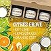 Old Factory Scented Candles - Citrus Grove - Decorative Aromatherapy - Handmade in The USA with Only The Best Fragrance Oils - 3 x 4-Ounce Soy Candles