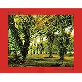 Peter Bialobrzeski: Paradise Now