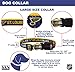 Pets First NHL ST.LOUIS BLUES COLLAR for DOGS & CATS, Large. - Adjustable, Cute & Stylish! The Ultimate HOCKEY FAN Collar!