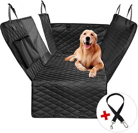 dog seat belt for boot