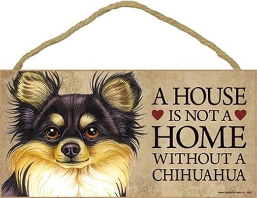 Amazon Com Sjt Pcscp Chihuahua A House Is Not A Home Without A