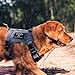 OneTigris Tactical Dog Training Vest No Pull Harness for Dogs,Adjustable Dog Hiking Harness Working Vest(Grey, Large)