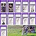 Dog Training Collar with Remote. Shock Collar. Clicker Training for Puppies. 1500 feet 100 Levels. The Best Shock Collar & Training Book for E Collar Dog Training