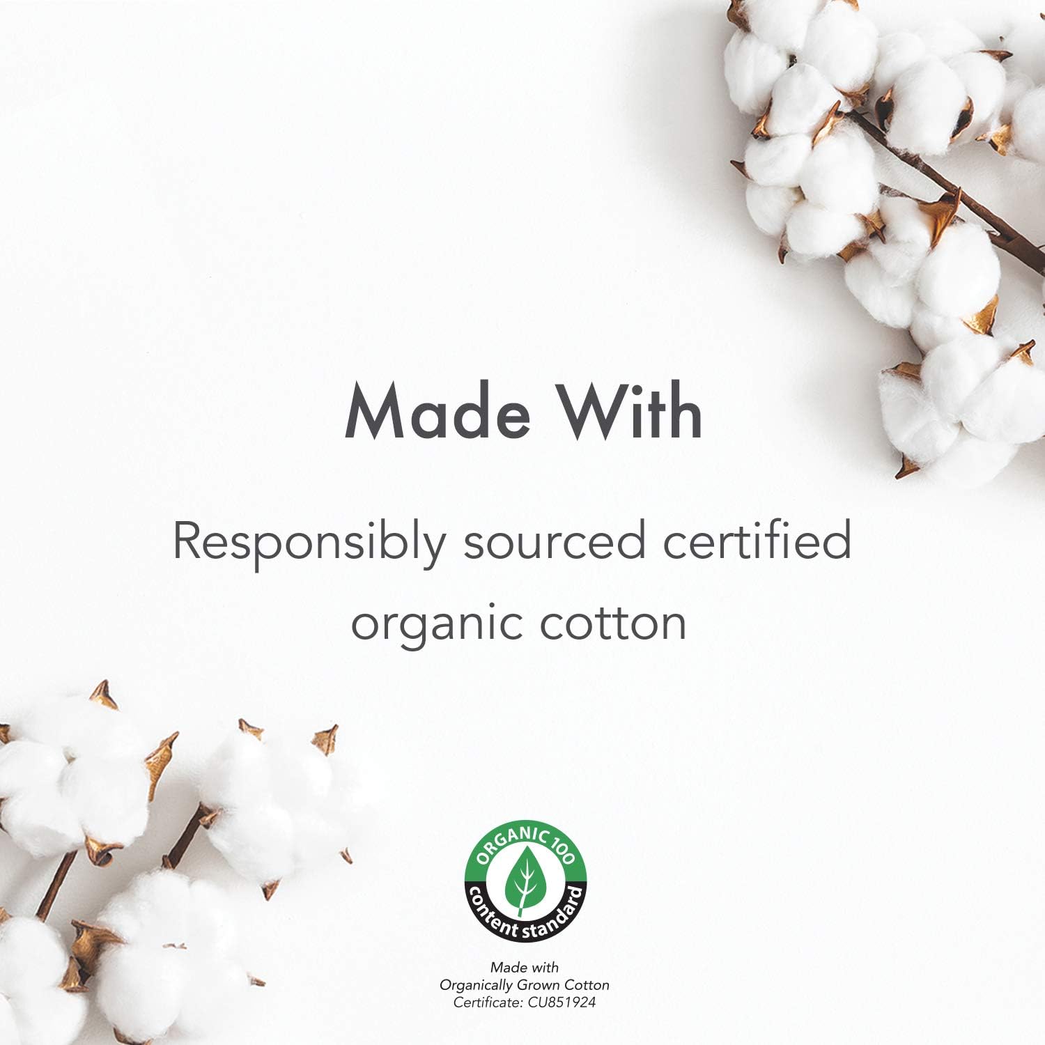 Rael Organic Cotton Panty Liners - Everyday Freshness, Daily Panty Liners, Chlorine Free, Unscented (Micro Thin,140 Count): Health & Personal Care