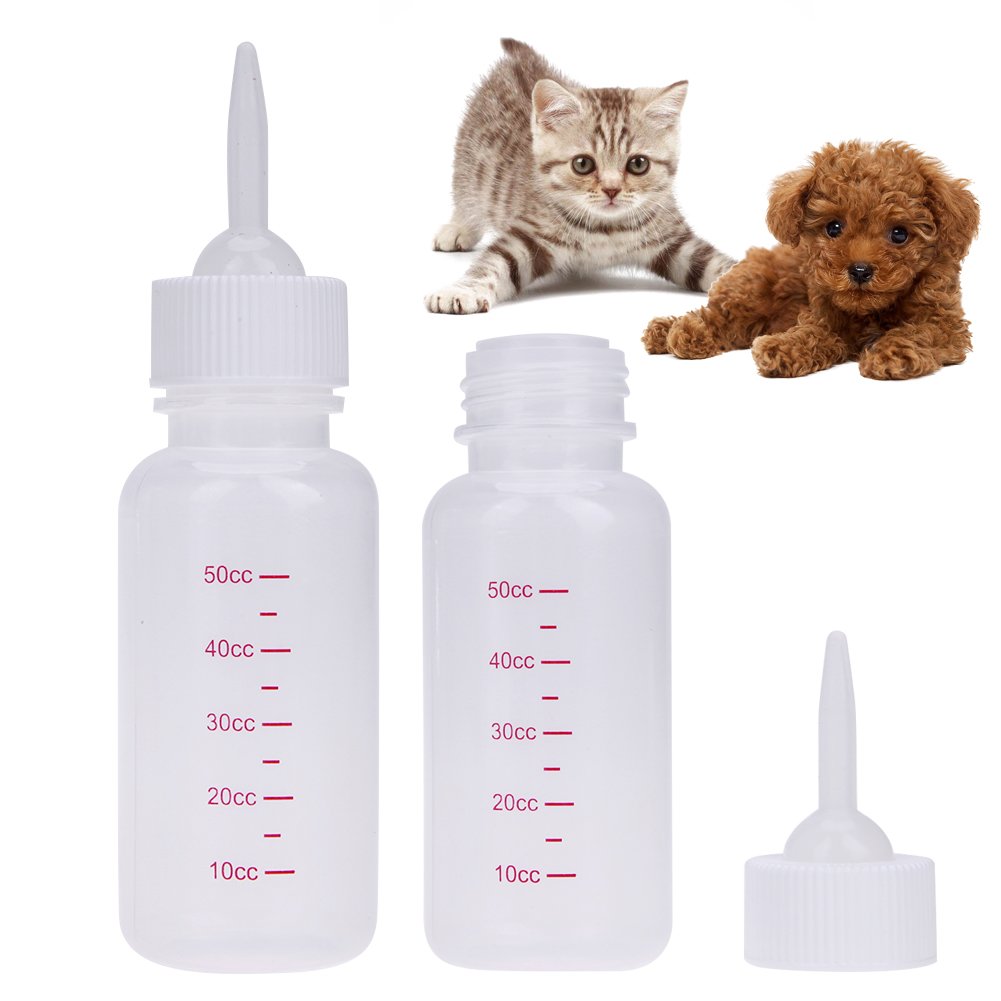 bottle kitten feeding chart